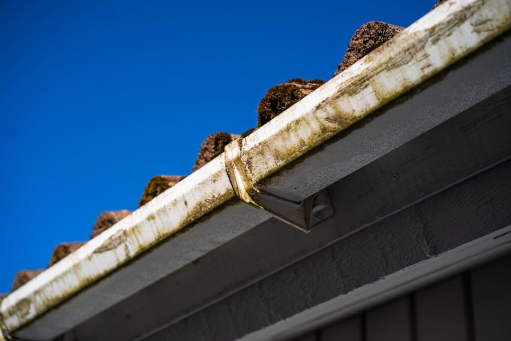 Essential Gutter Cleaning Tips for Homeowners