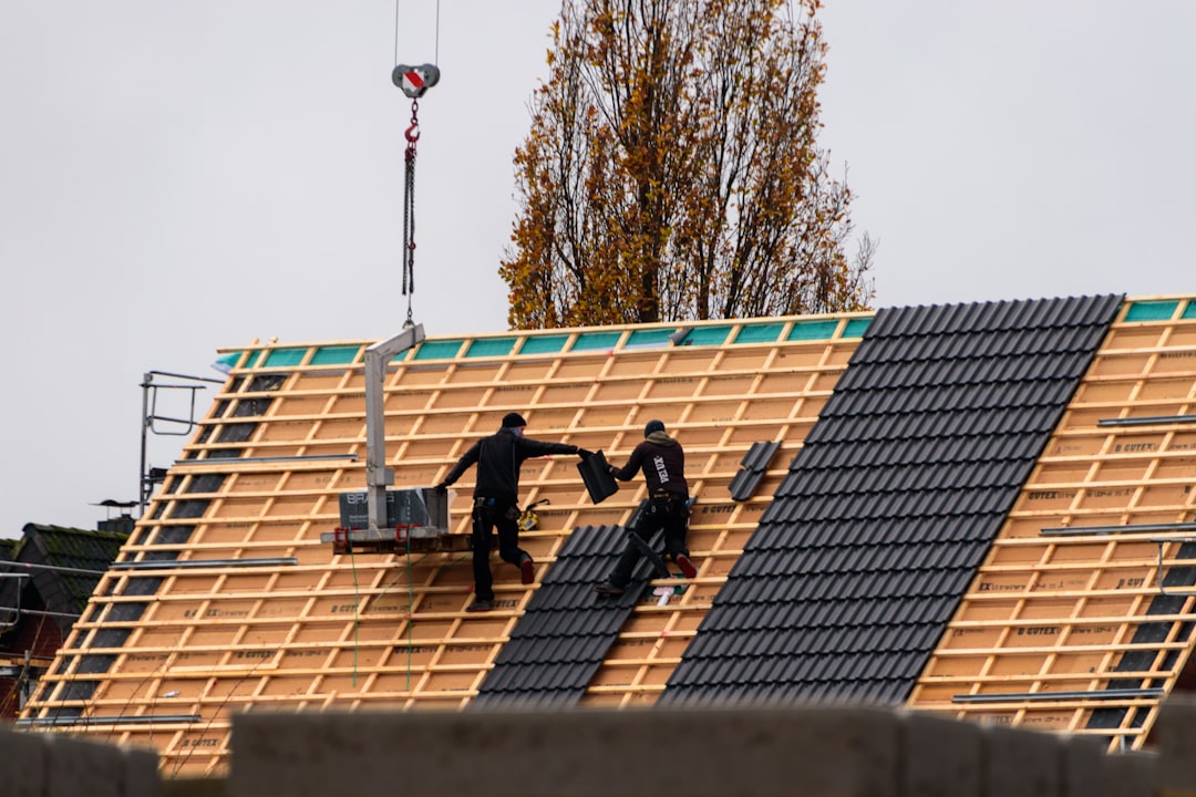 Find Reliable Roofers Near Me for Quality Repairs