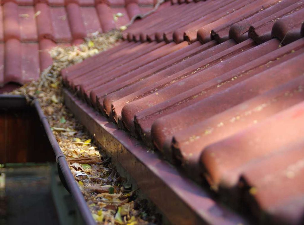 gutter full of leaves that will cause clogging and overflow.