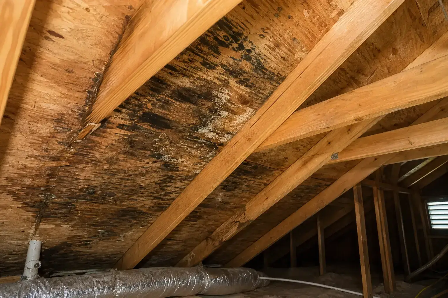 roof leaks residential attic interior showing