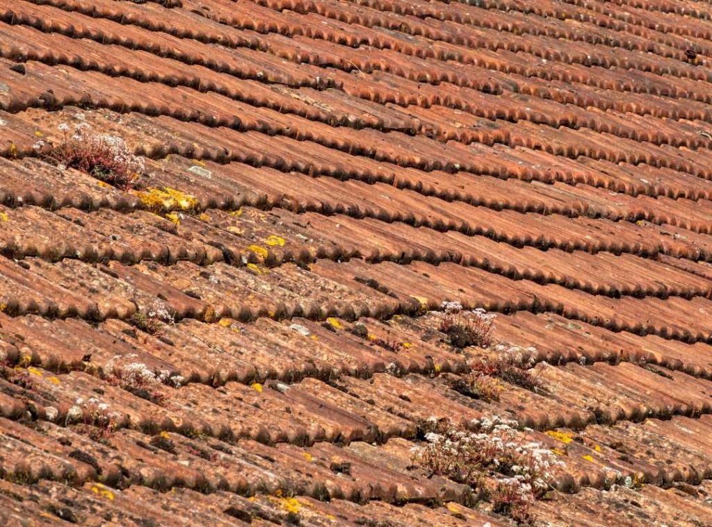 sagging roof that needs to be attended immediately.