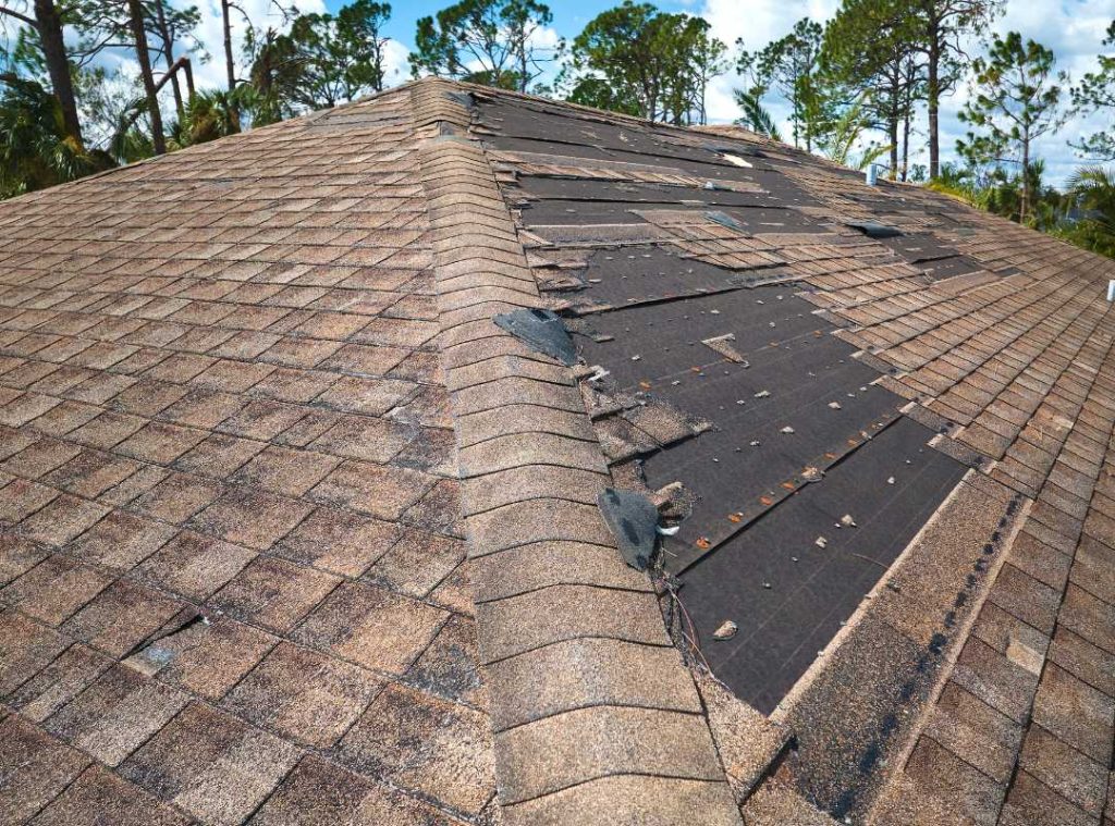 Shingles ripped up by a strong wind.