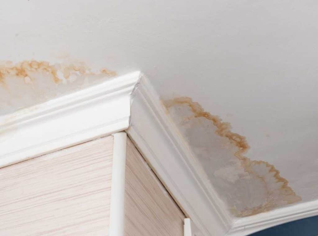 water stains on ceiling.